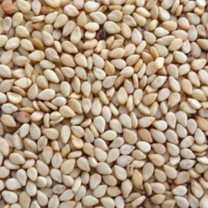 Sesame Seeds