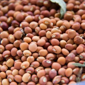 Pigeon Peas